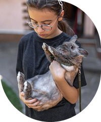 Petspal Clinic