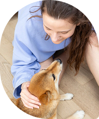 Pet Care